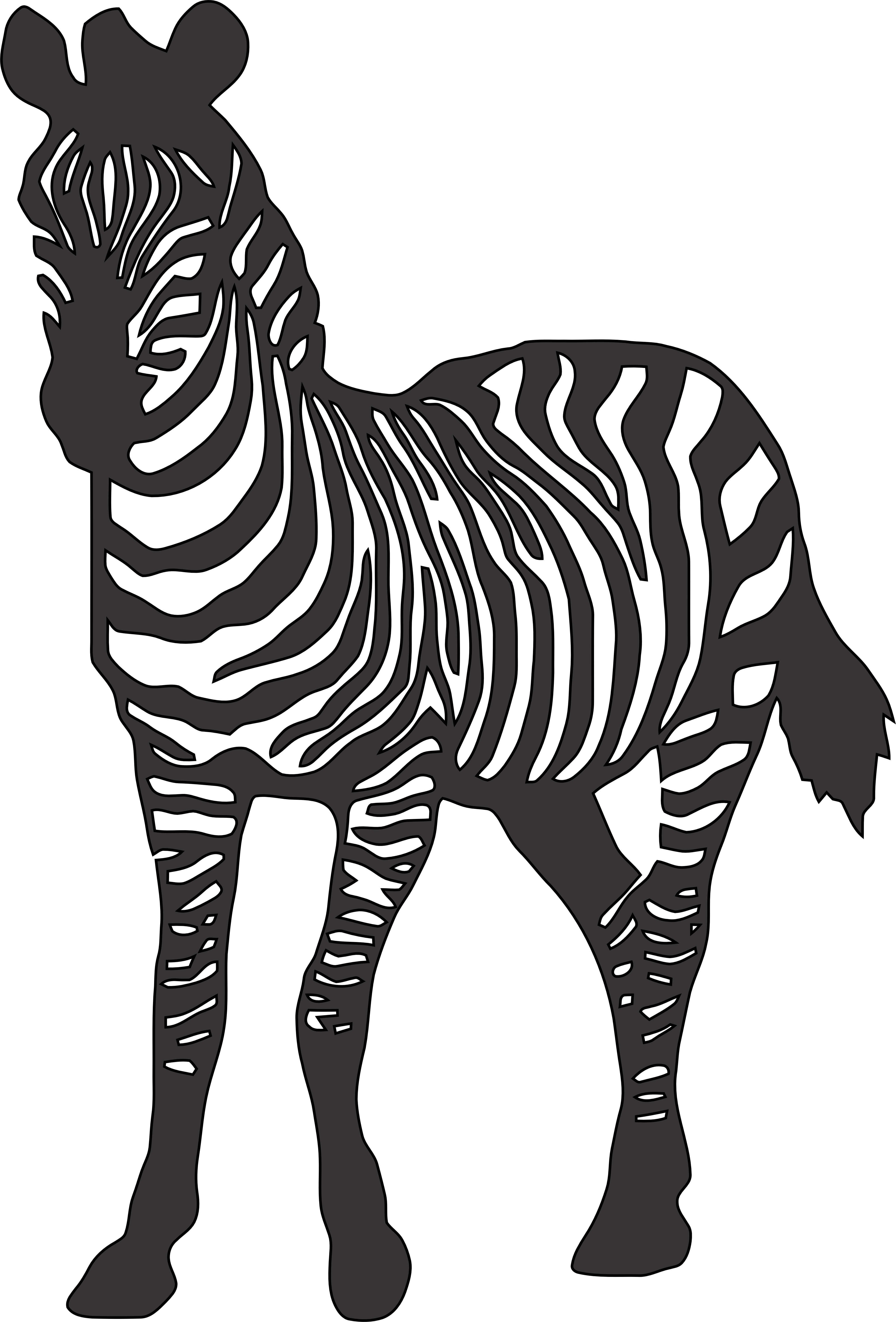 imagem do arquivo vetor para download Arte de parede Zebra