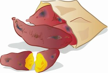 imagem do arquivo vetor para download Arte vetorial de batata doce 