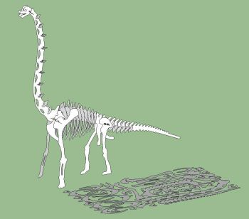 imagem do arquivo vetor para download Braciossaurus