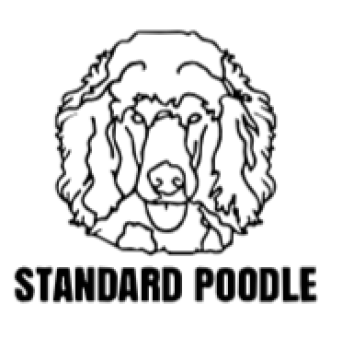 imagem do arquivo vetor para download Cabeça de cão em vetor Standard Poodle