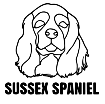 imagem do arquivo vetor para download Cabeça de cão em vetor Sussex Spaniel