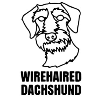 imagem do arquivo vetor para download Cabeça de cão em vetor Wirehaired Dachshund
