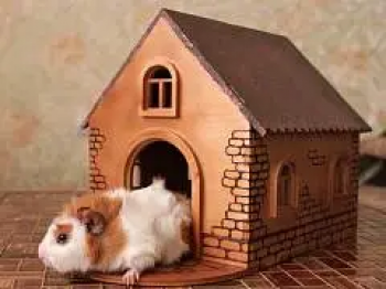 imagem do arquivo vetor para download Casinha de hamster