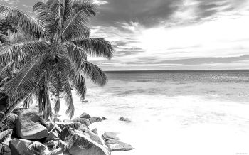 imagem do arquivo vetor para download Cena de Praia Gravada 