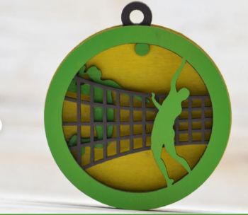 imagem do arquivo vetor para download Medalha de Voleibol Ecológica em Camadas