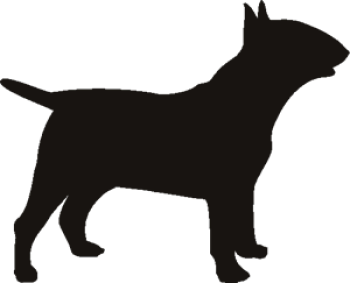 imagem do arquivo vetor para download Silhueta Bull Terrier
