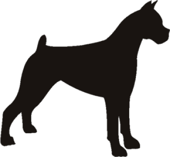 imagem do arquivo vetor para download Silhueta Cão Boxer