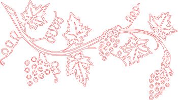 imagem do arquivo vetor para download UVAS E FOLHAS