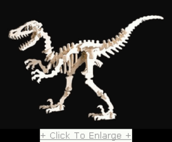 imagem do arquivo vetor para download Velociraptor 3D
