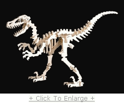 imagem do arquivo vetor para download Velociraptor 3D