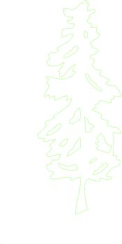 imagem do arquivo vetor para download Vetor Arvore