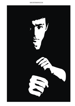 imagem do arquivo vetor para download Vetor Bruce Lee.