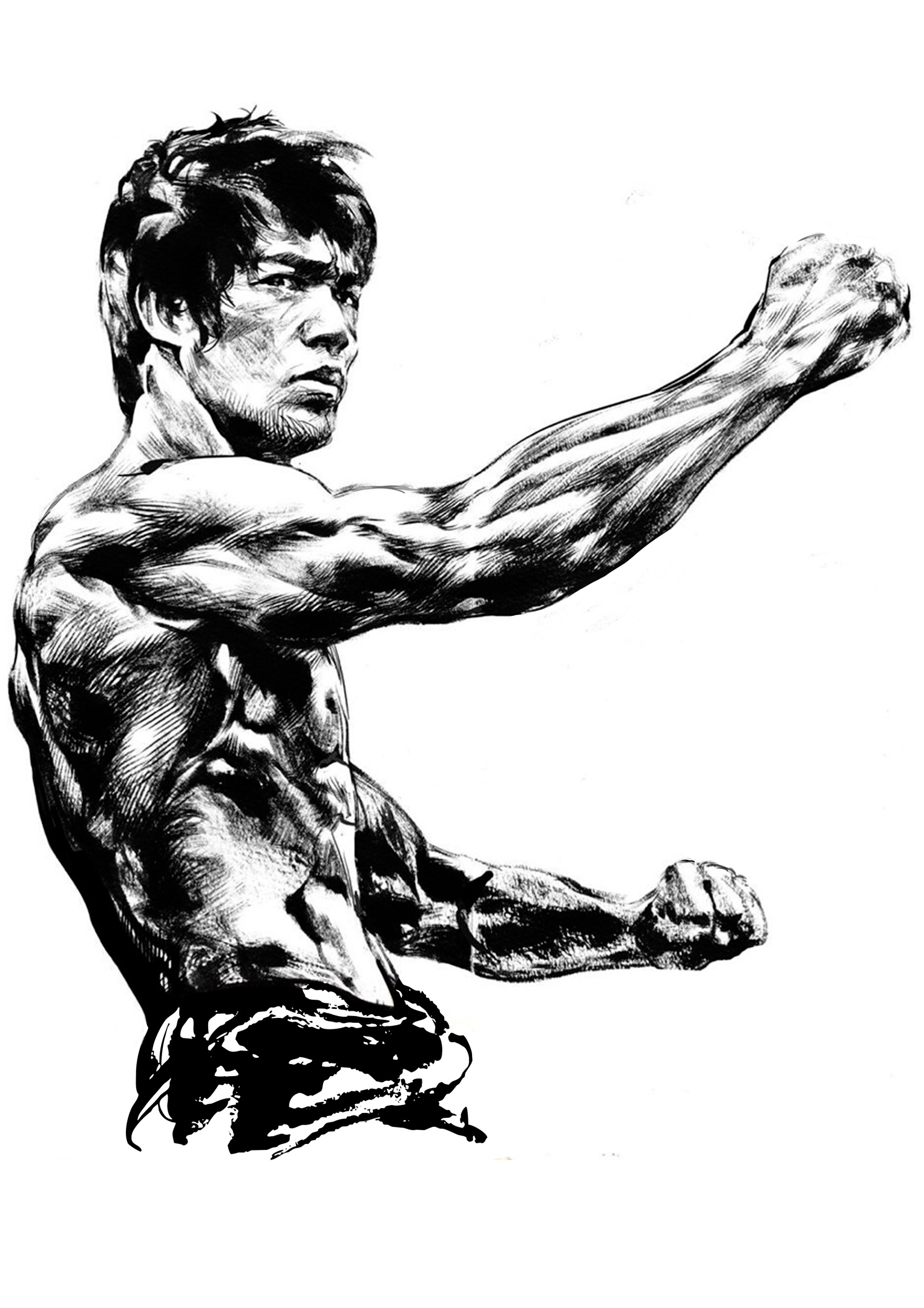 imagem do arquivo vetor para download Vetor Bruce Lee