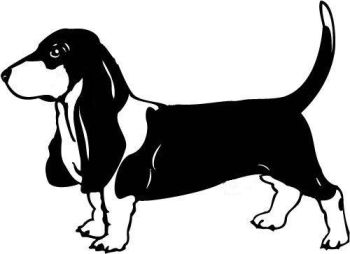 imagem do arquivo vetor para download Vetor Cachorro Basset