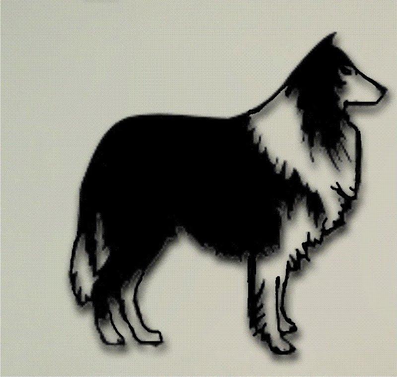 imagem do arquivo vetor para download Vetor Cachorro Colie