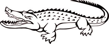 imagem do arquivo vetor para download Vetor Crocodilo 