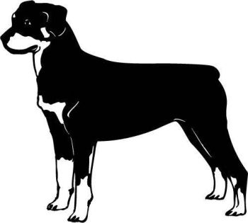 imagem do arquivo vetor para download Vetor Doberman