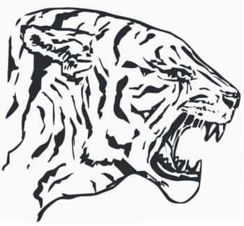 imagem do arquivo vetor para download Vetor Tigre