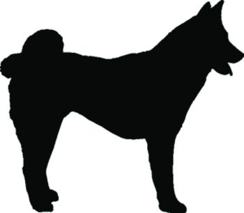 imagem do arquivo vetor para download Vetor cão Akita