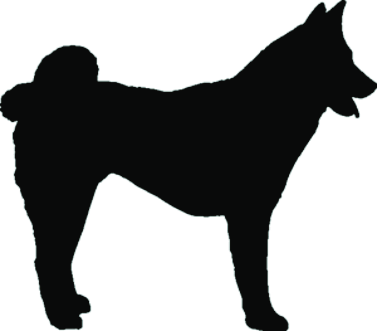 imagem do arquivo vetor para download Vetor cão Akita