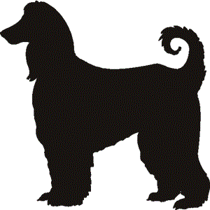 imagem do arquivo vetor para download Vetor de Afghan Hound