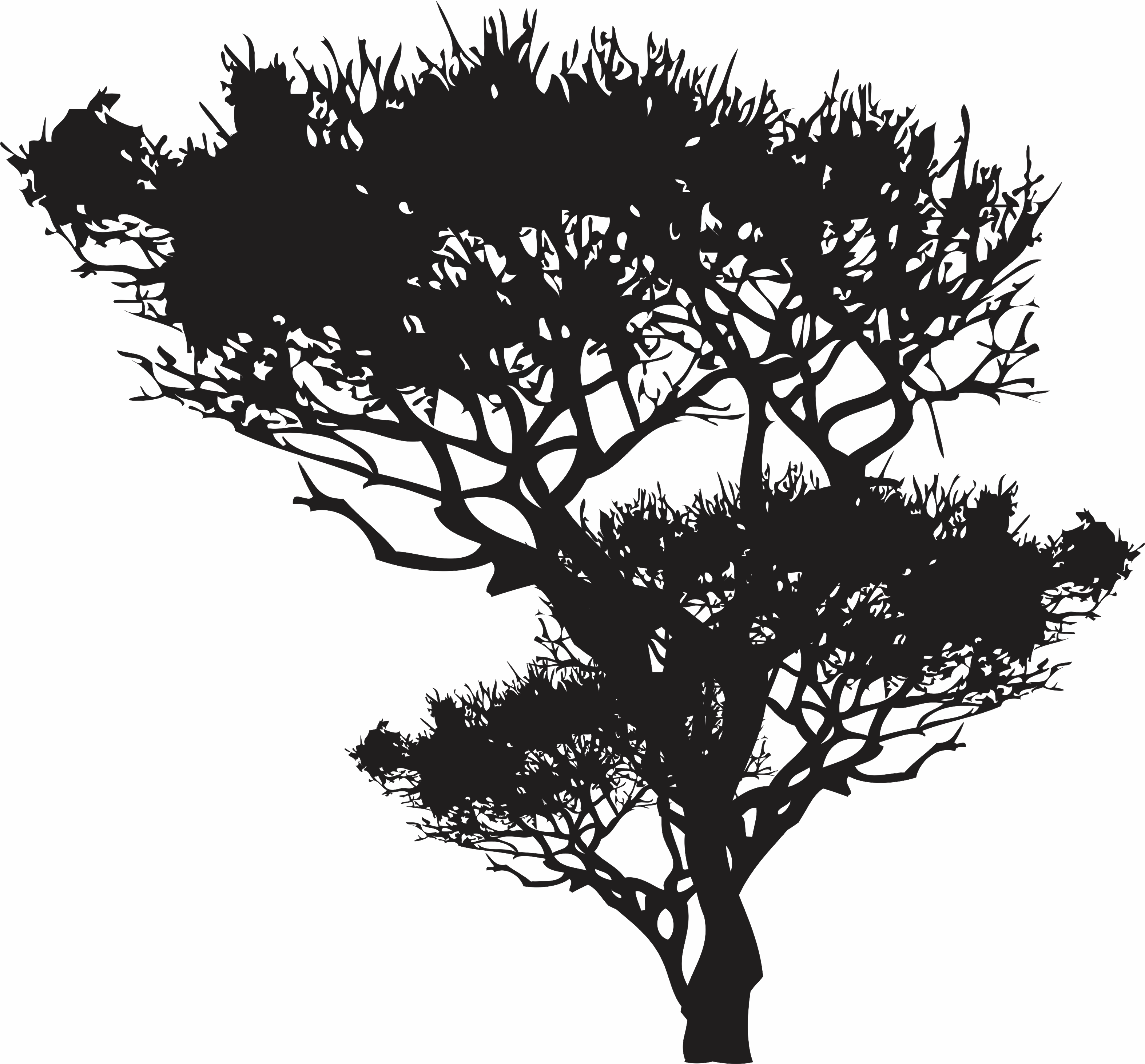 imagem do arquivo vetor para download Vetor de Árvore