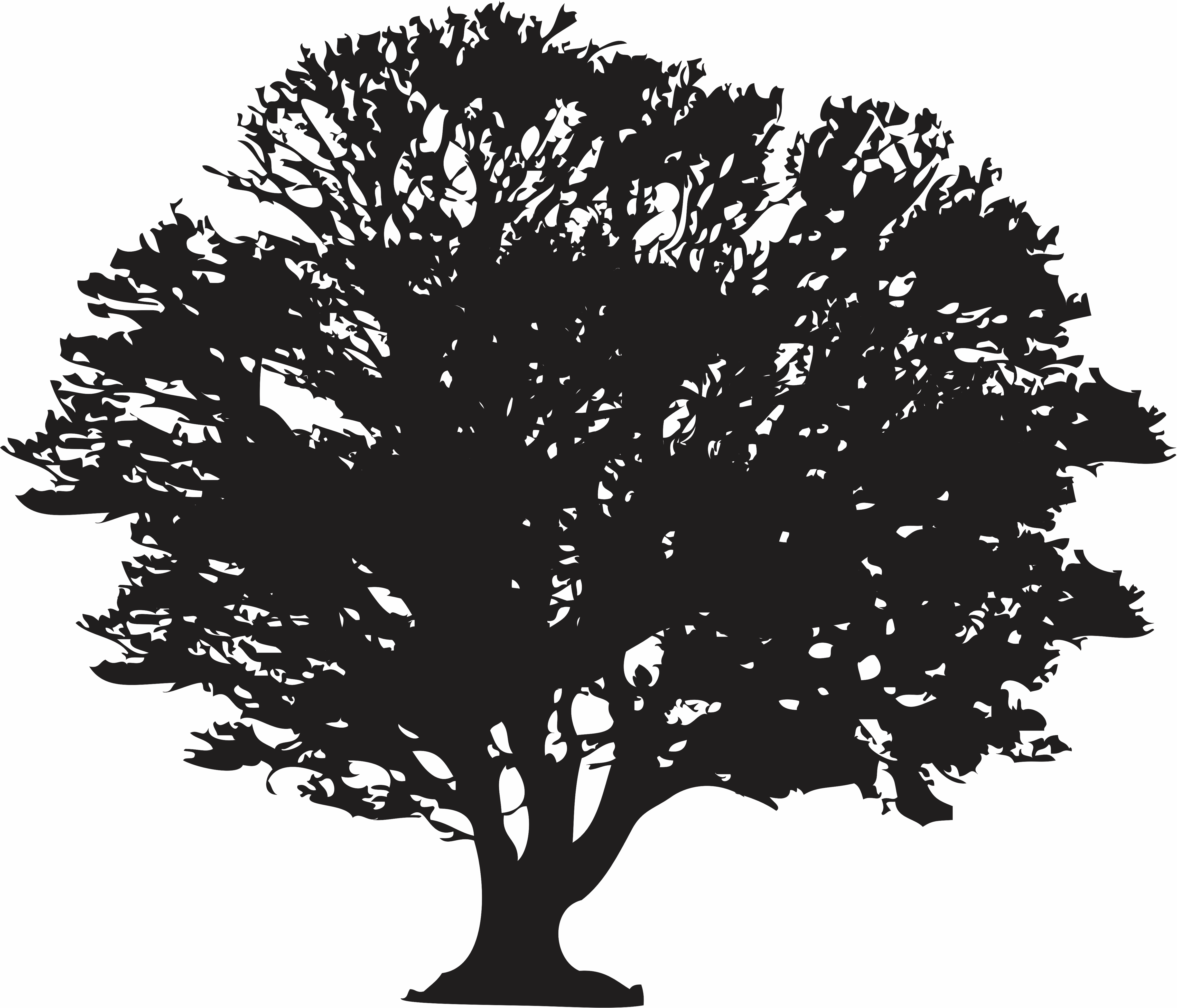 imagem do arquivo vetor para download Vetor de Árvore