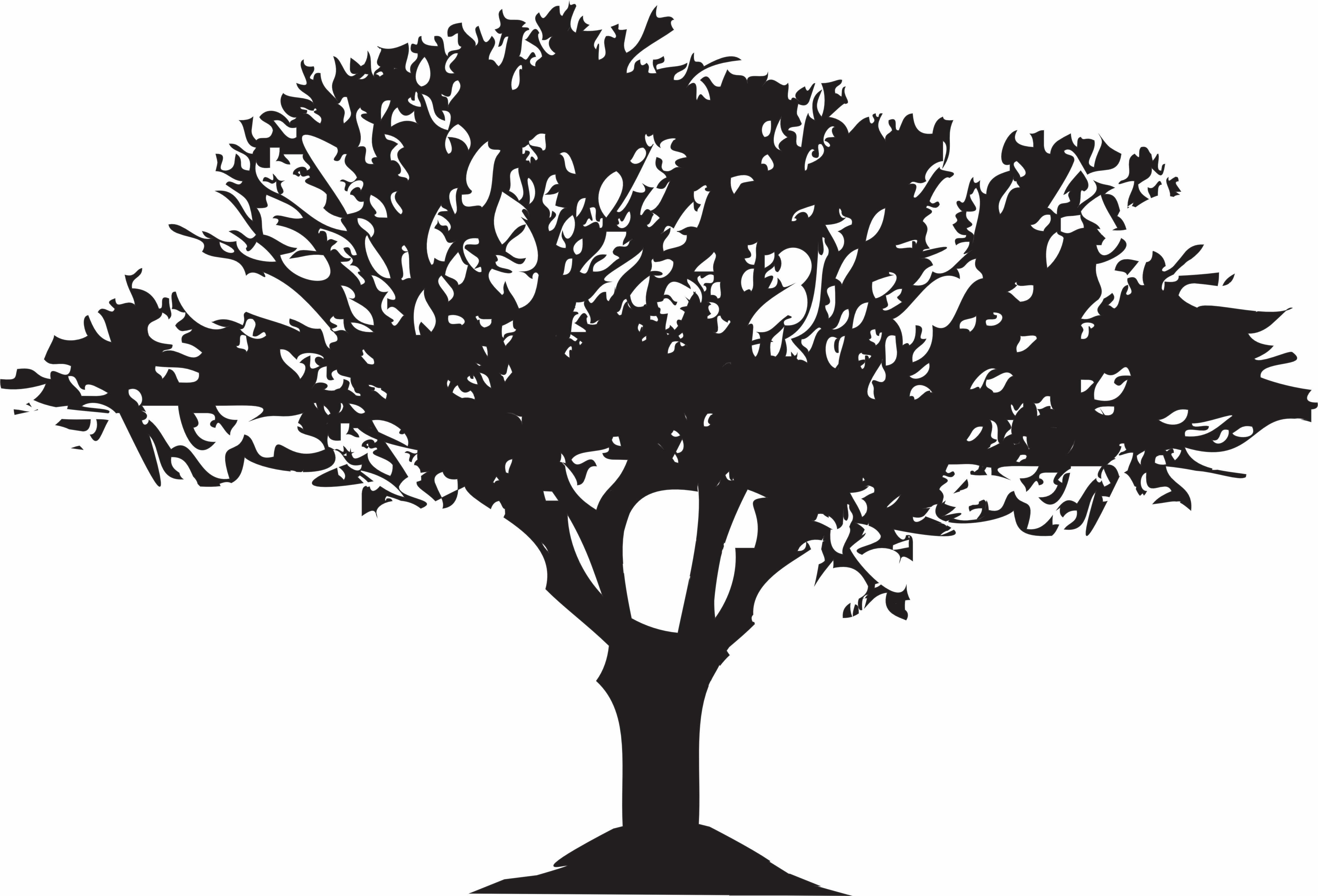 imagem do arquivo vetor para download Vetor de Árvore