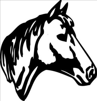 imagem do arquivo vetor para download Vetor de Cabeça Cavalo