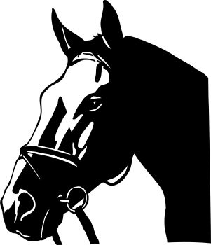 imagem do arquivo vetor para download Vetor de Cavalo