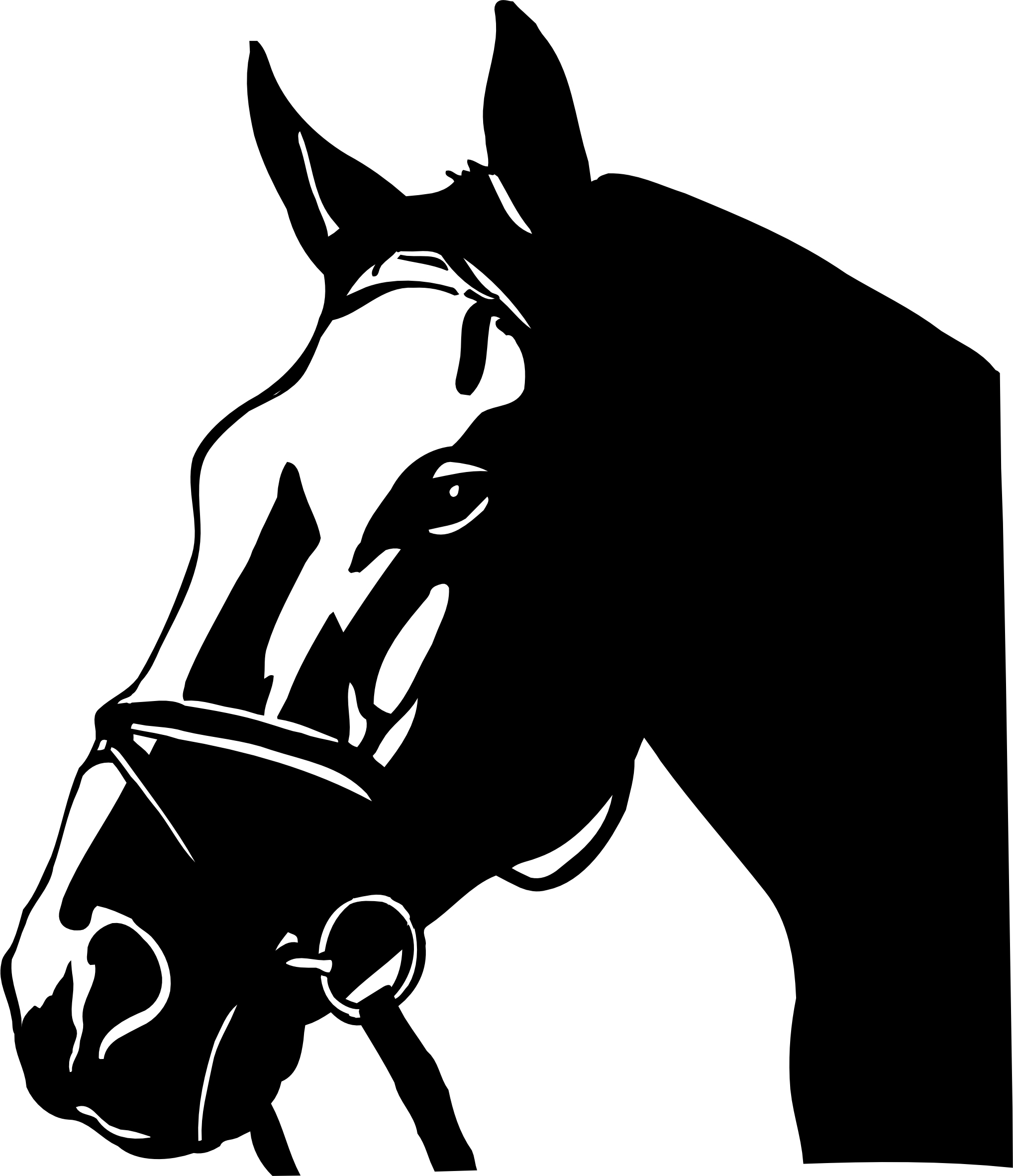 imagem do arquivo vetor para download Vetor de Cavalo