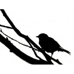 imagem do arquivo vetor para download Vetor de Pássaro Arvore