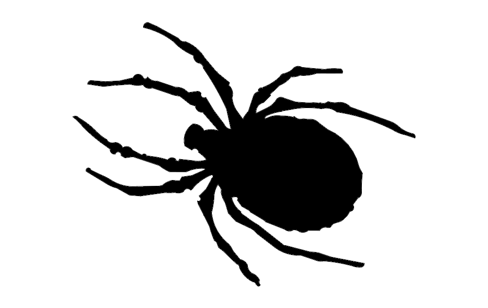 imagem do arquivo vetor para download Vetor de aranha