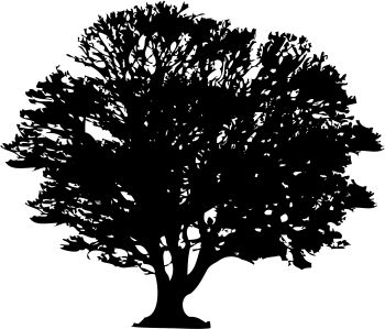 imagem do arquivo vetor para download Vetor de arvore