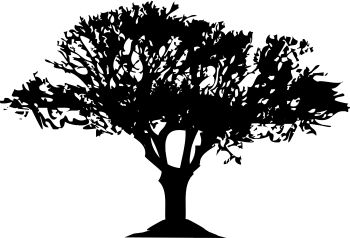 imagem do arquivo vetor para download Vetor de arvore 