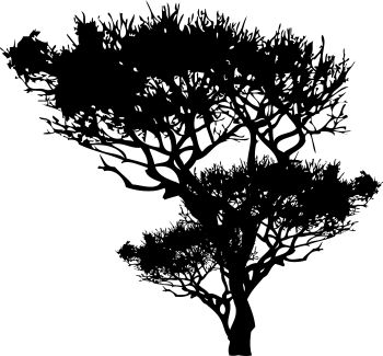 imagem do arquivo vetor para download Vetor de arvore 