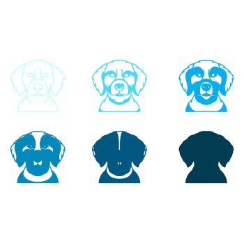 imagem do arquivo vetor para download Vetor de cão raça Labradoodle