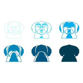 imagem do arquivo vetor para download Vetor de cão raça Lagotto Romagnolo