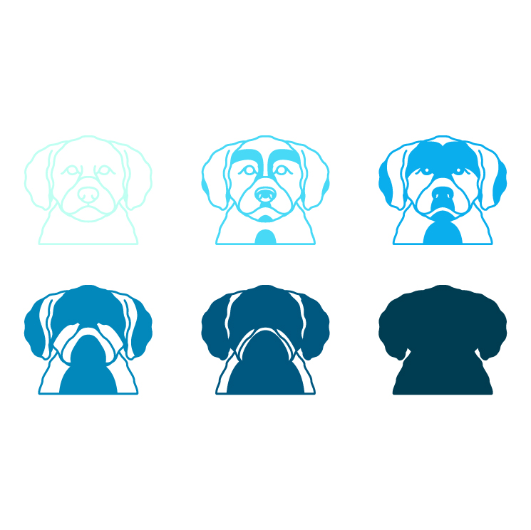 imagem do arquivo vetor para download Vetor de cão raça Lagotto Romagnolo