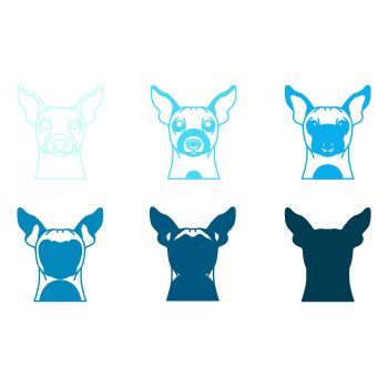 imagem do arquivo vetor para download Vetor de cão raça American Hairless Terrier