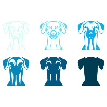 imagem do arquivo vetor para download Vetor de cão raça Azawakh