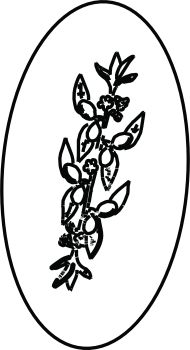 imagem do arquivo vetor para download Vetor de flor