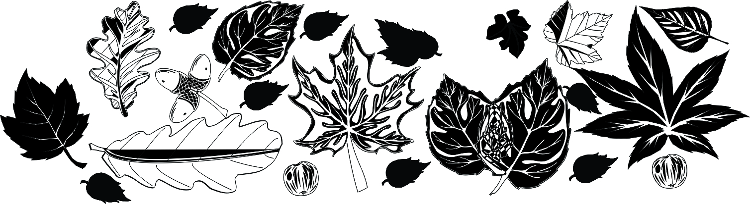 imagem do arquivo vetor para download Vetor de folhas 