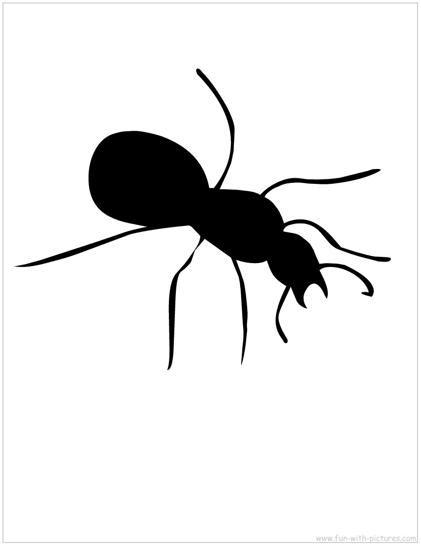 imagem do arquivo vetor para download Vetor de formiga