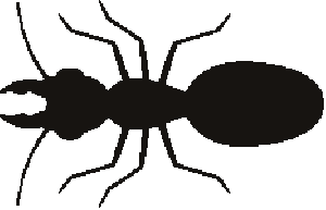 imagem do arquivo vetor para download Vetor de formiga 