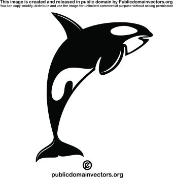 imagem do arquivo vetor para download Vetor de orca 