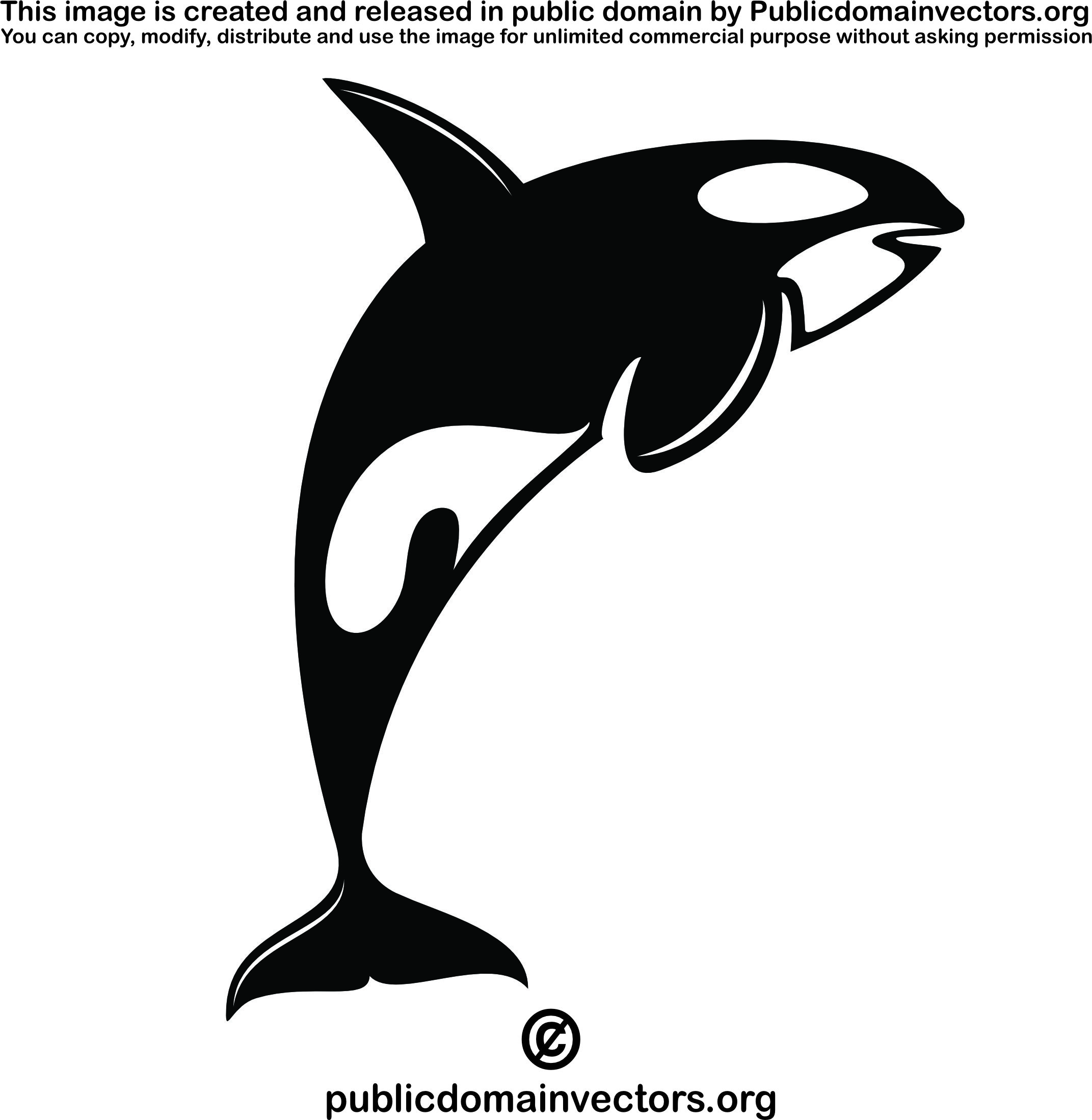 imagem do arquivo vetor para download Vetor de orca 