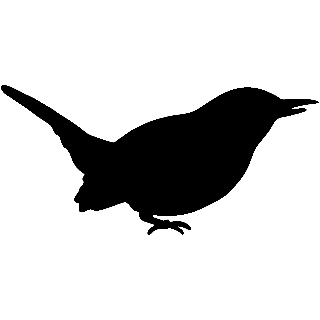 imagem do arquivo vetor para download Vetor de pássaro 