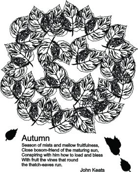 imagem do arquivo vetor para download Vetor ramo de folhas 