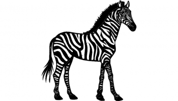 imagem do arquivo vetor para download Zebra